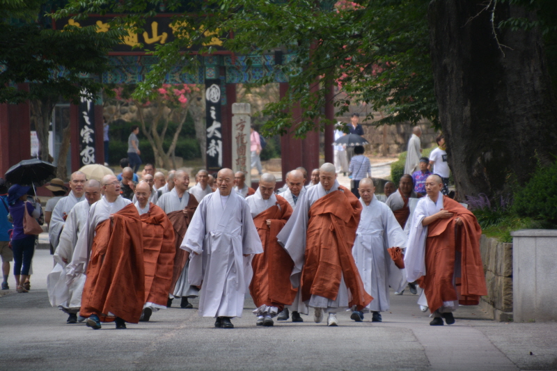 ȫ������ ����38�ֱ� �߸�ٷ�