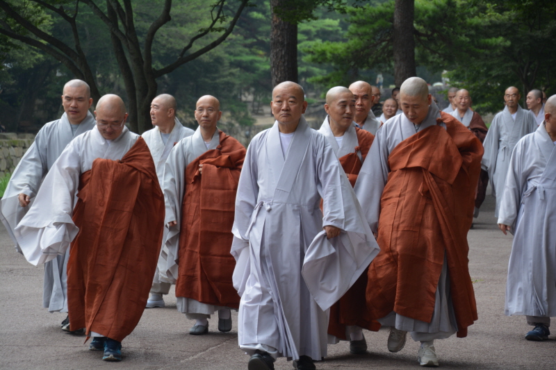 ȫ������ ����38�ֱ� �߸�ٷ�