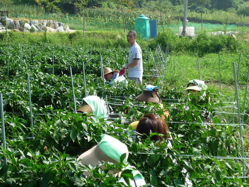 ��õ���߿�� 2016��