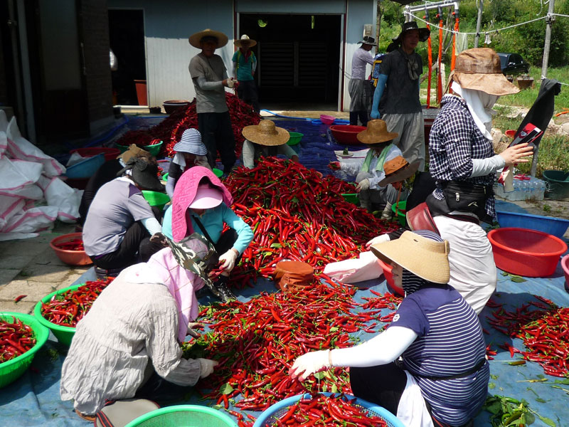 ��õ���߿�� 2016��