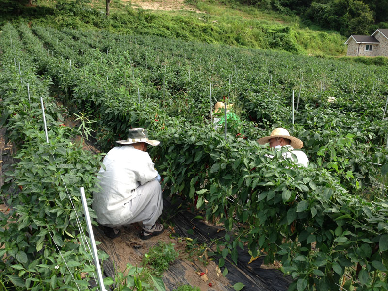 ��õ���߿�� �ι�° 2016��