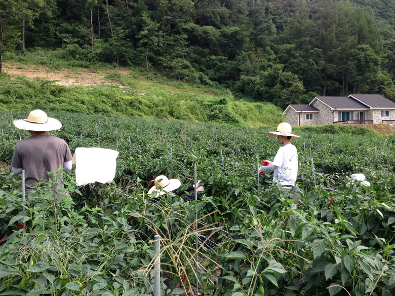 ��õ���߿�� �ι�° 2016��