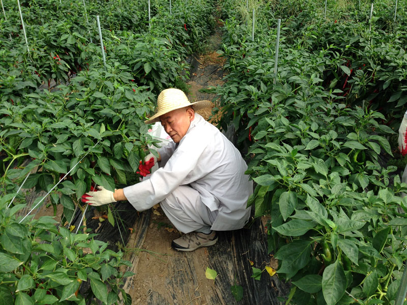 ��õ���߿�� �ι�° 2016��