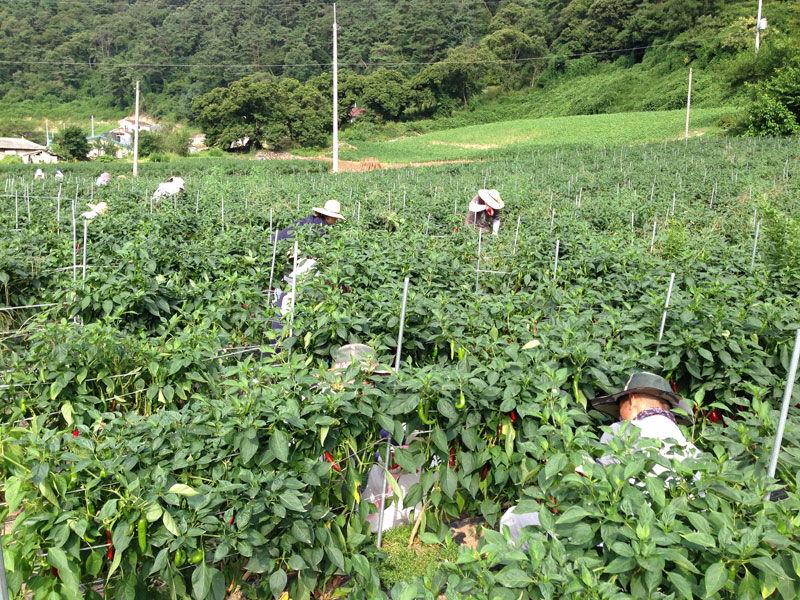 ��õ���߿�� �ι�° 2016��