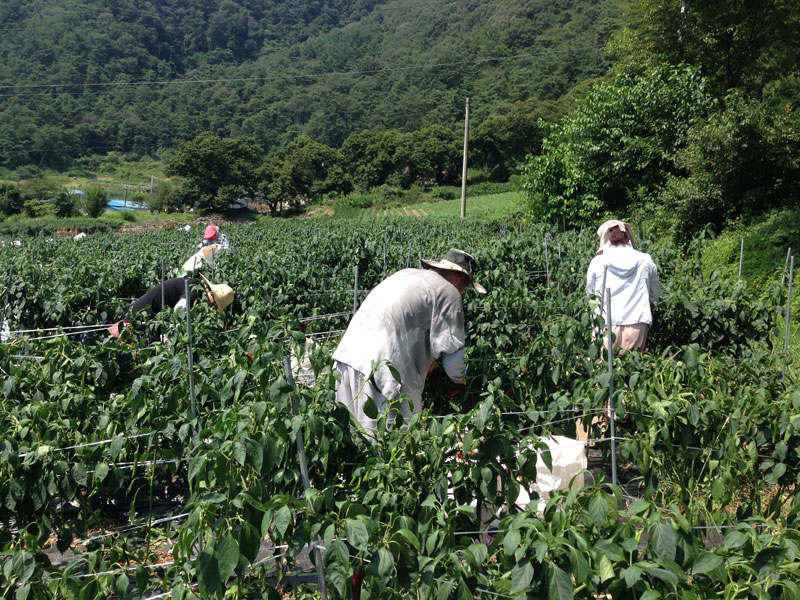 ��õ���߿�� �ι�° 2016��