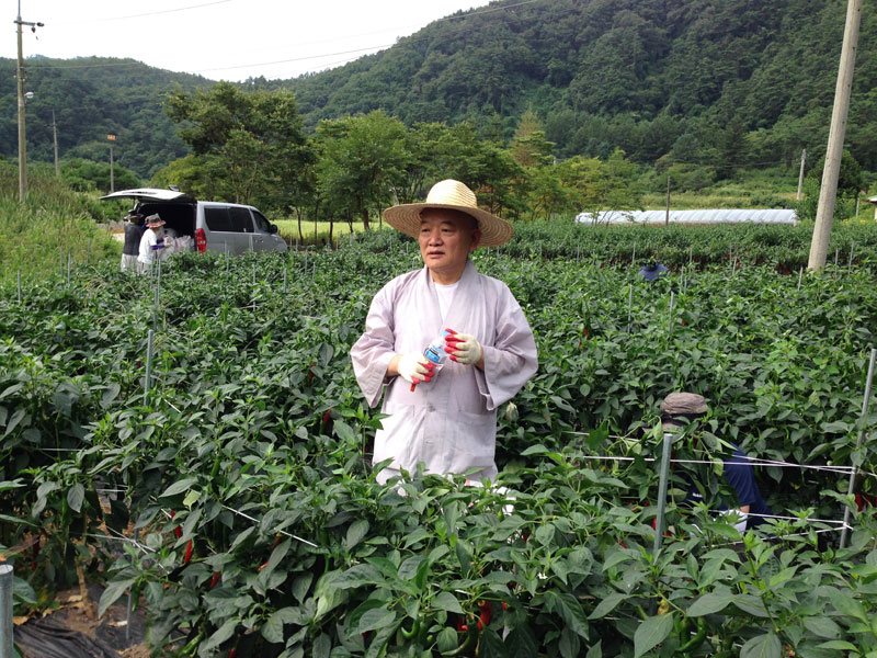 ��õ���߿�� �ι�° 2016��