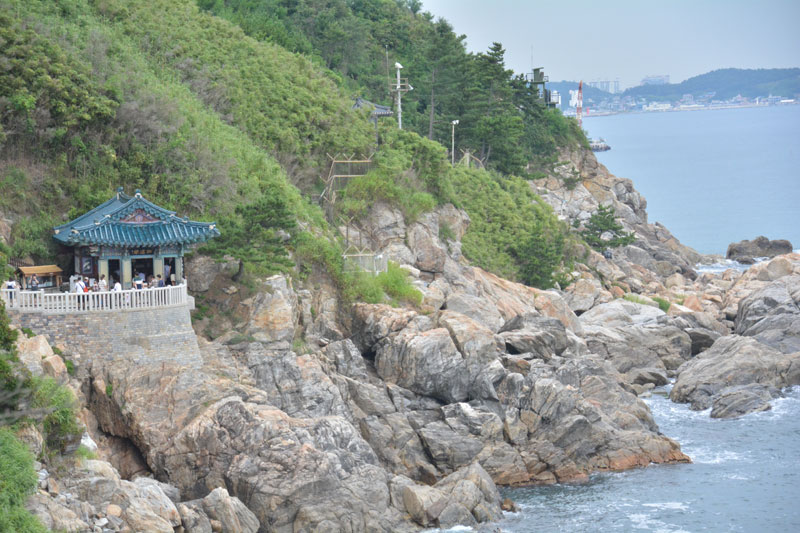 ����� ���޾� ��������