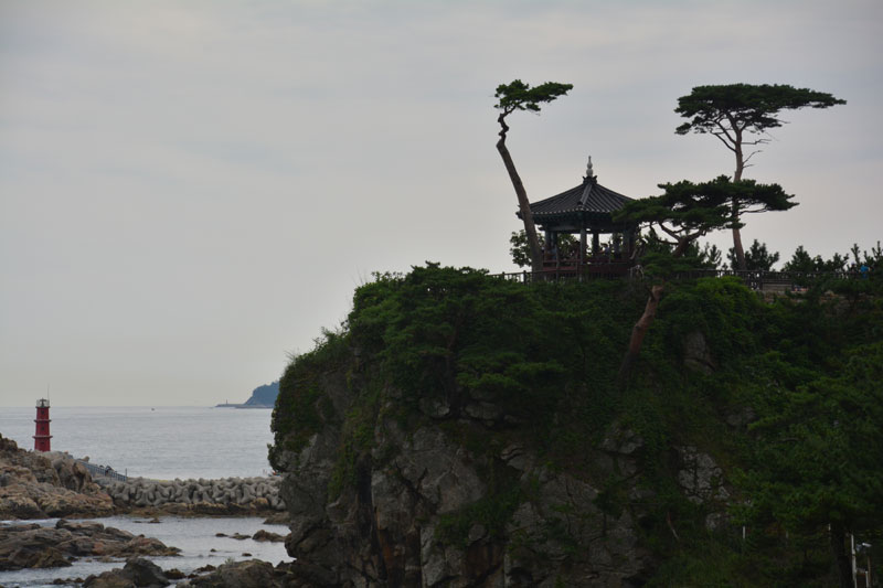 ����� ���޾� ��������