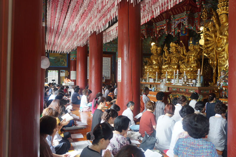 ����� ���޾� ��������