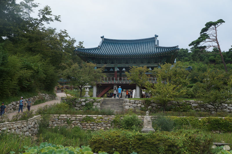 ����� ���޾� ��������