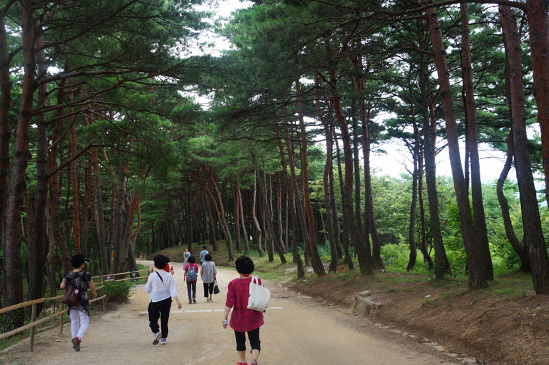 ����� ���޾� ��������