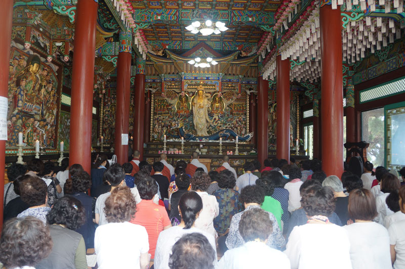 ����� ���޾� ��������