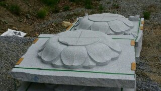 ���� ������ �һ�����