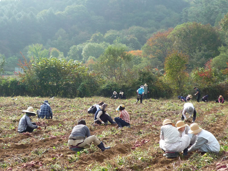 ��õ��������� 2016��