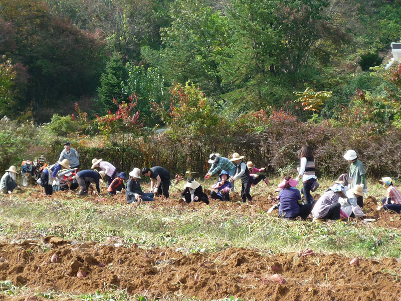 ��õ��������� 2016��