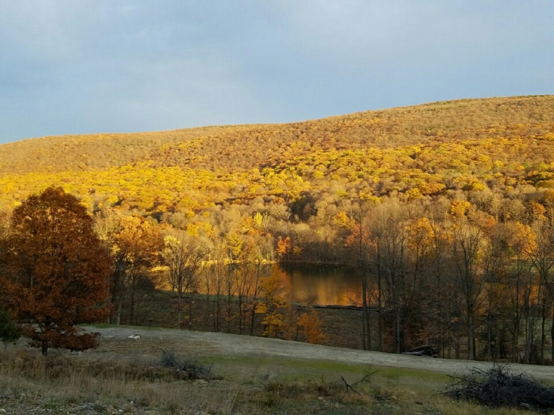 ���� ������ ����� �� ����һ� ������(2016.11.10))