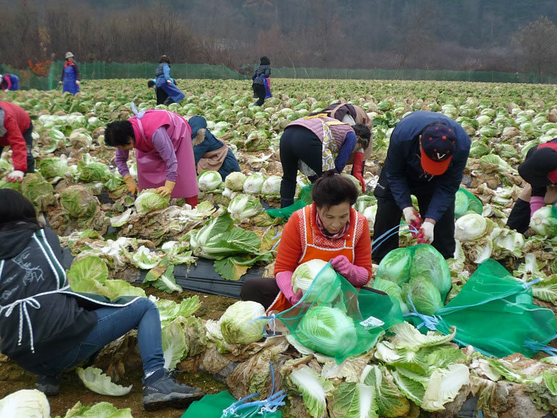 ��õ���߿�� 2016��