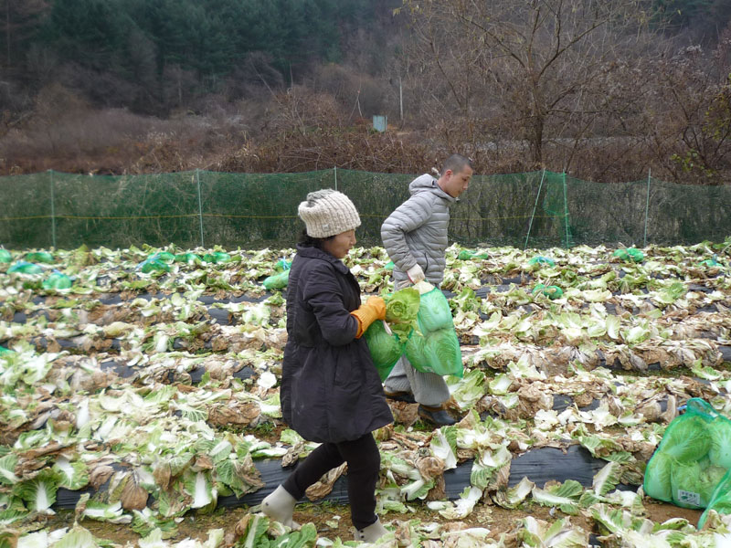 ��õ���߿�� 2016��