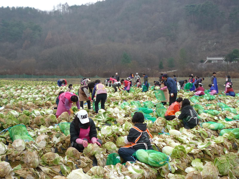 ��õ���߿�� 2016��