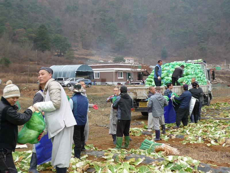 ��õ���߿�� 2016��