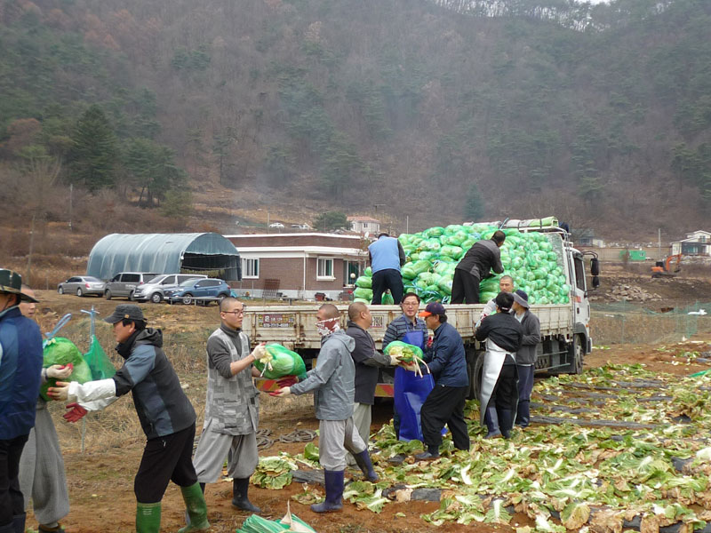 ��õ���߿�� 2016��