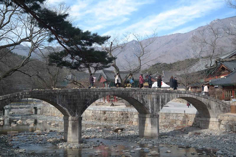 �뵵�� �ų��Ϸ� 2017��