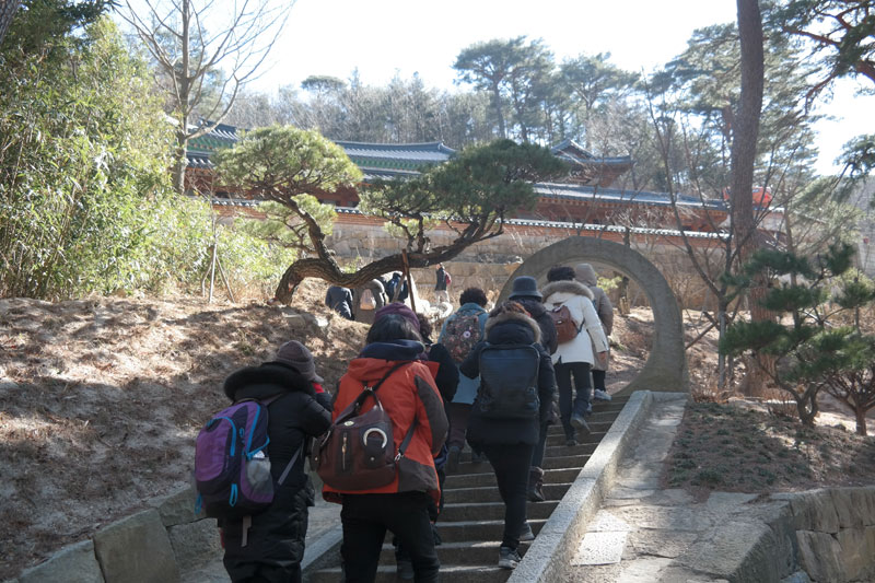 �뵵�� �ų��Ϸ� 2017��