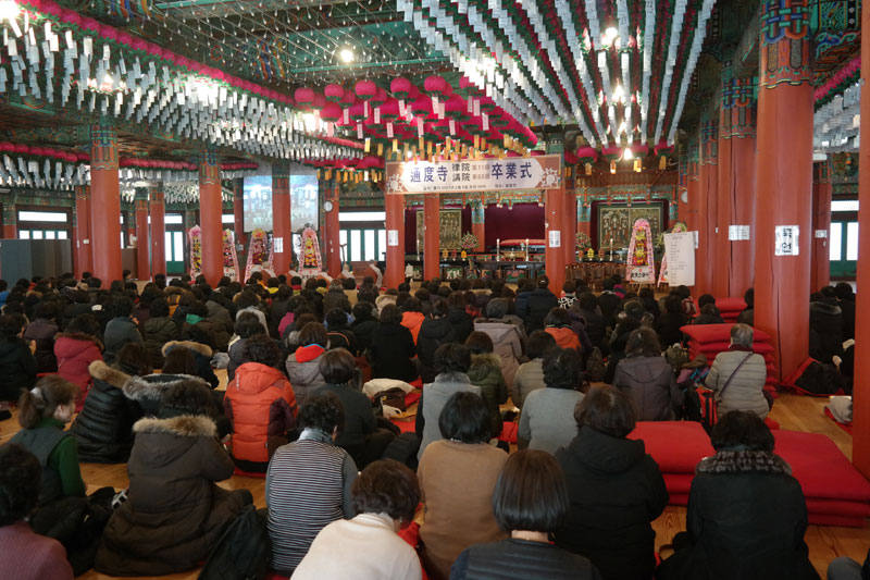 �뵵�� �ų��Ϸ� 2017��