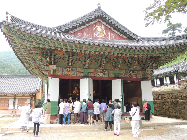 2017�� ���� ��缺������