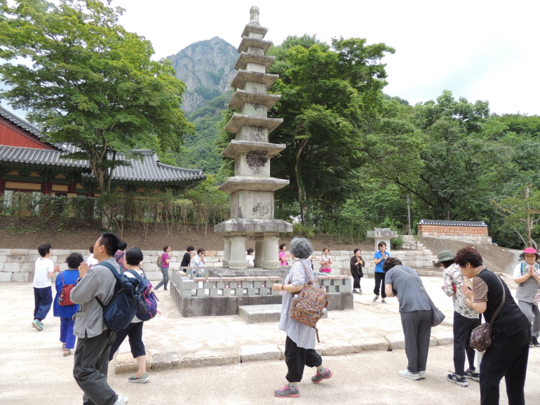 2017�� ���� ��缺������