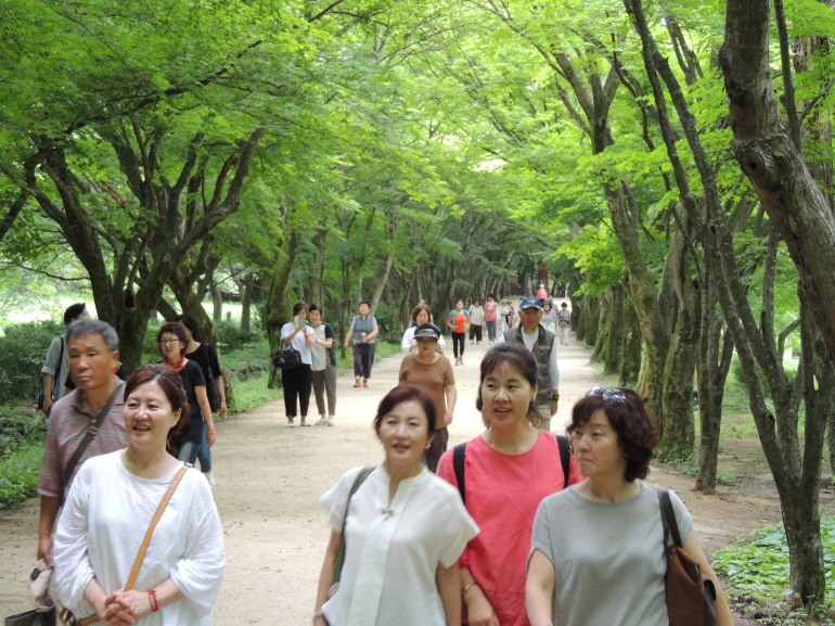 2017�� ���� ��缺������