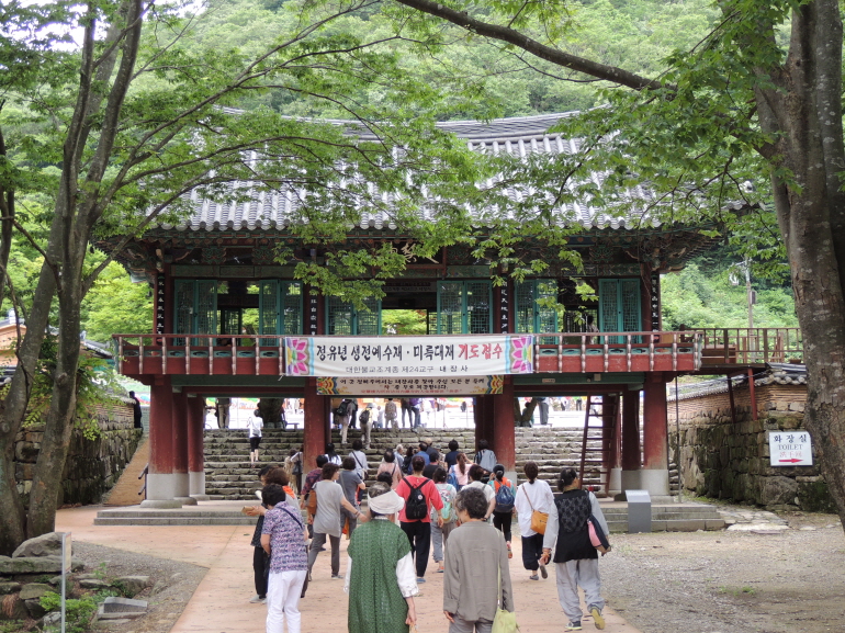 2017�� ���� ��缺������