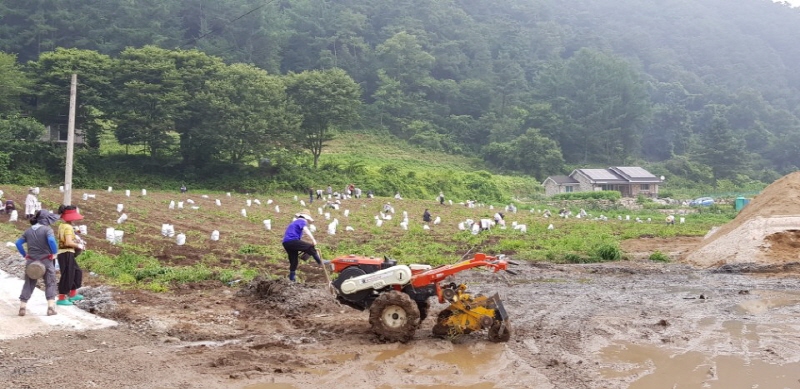 ��õ���ڿ�� 2017�� 7��14��