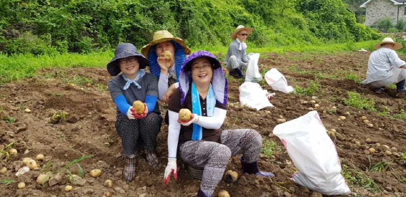 ��õ���ڿ�� 2017�� 7��14��