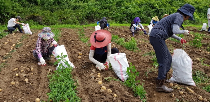 ��õ���ڿ�� 2017�� 7��14��