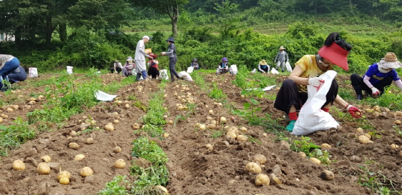 ��õ���ڿ�� 2017�� 7��14��