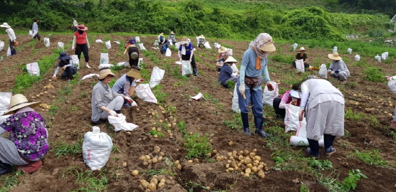 ��õ���ڿ�� 2017�� 7��14��