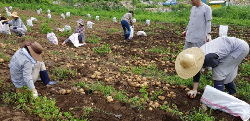 ��õ���ڿ�� 2017�� 7��14��