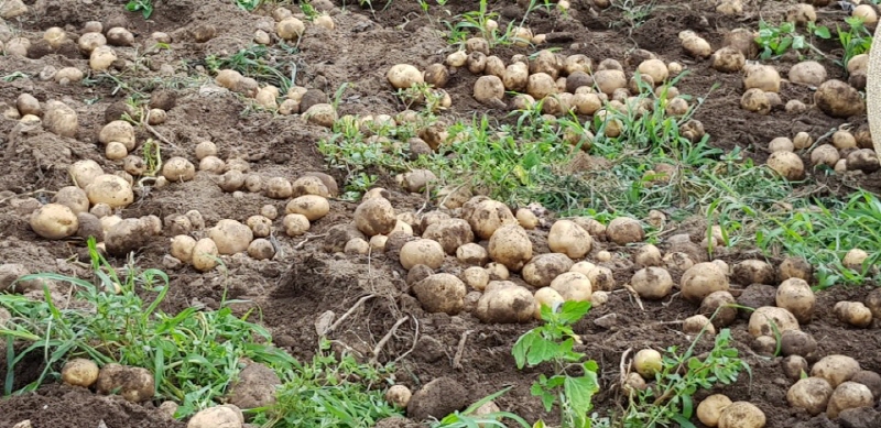 ��õ���ڿ�� 2017�� 7��14��