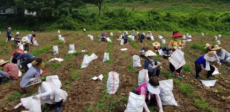 ��õ���ڿ�� 2017�� 7��14��