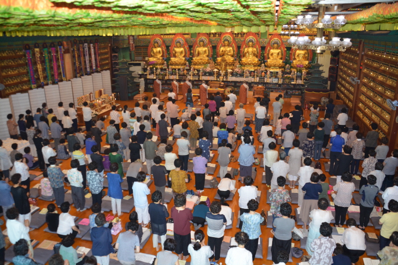 ����49�� �⵵����(2017�� 7�� 19��)