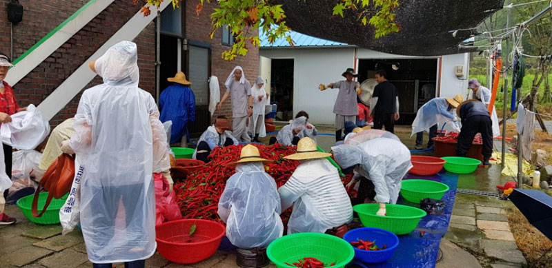 ��õ ���߿�� 2017��