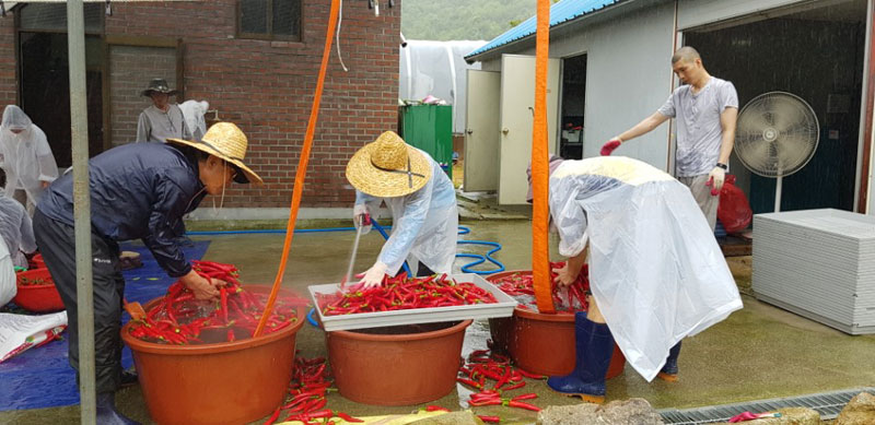 ��õ ���߿�� 2017��