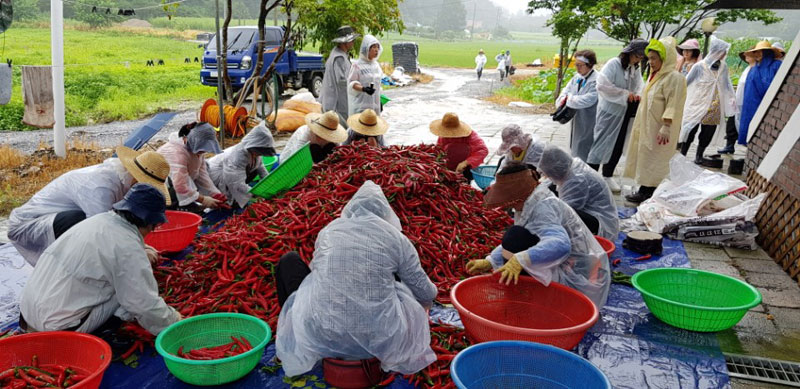 ��õ ���߿�� 2017��