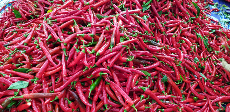 ��õ ���߿�� 2017��