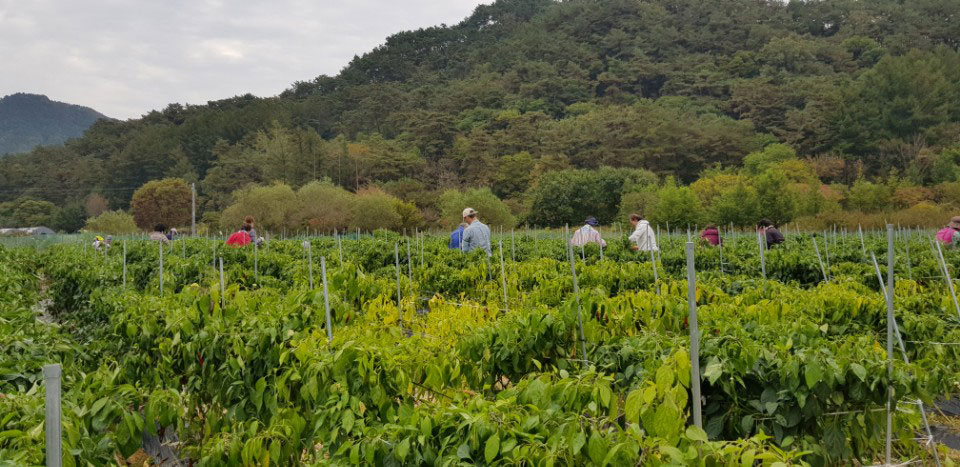 ��õ �ұ����� ������ ���߼�Ȯ(2017. 10.16)