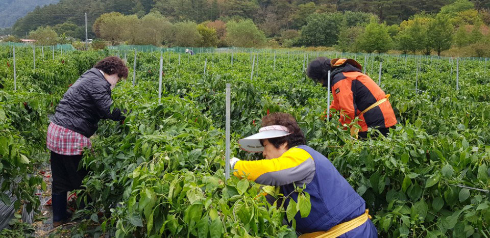 ��õ �ұ����� ������ ���߼�Ȯ(2017. 10.16)