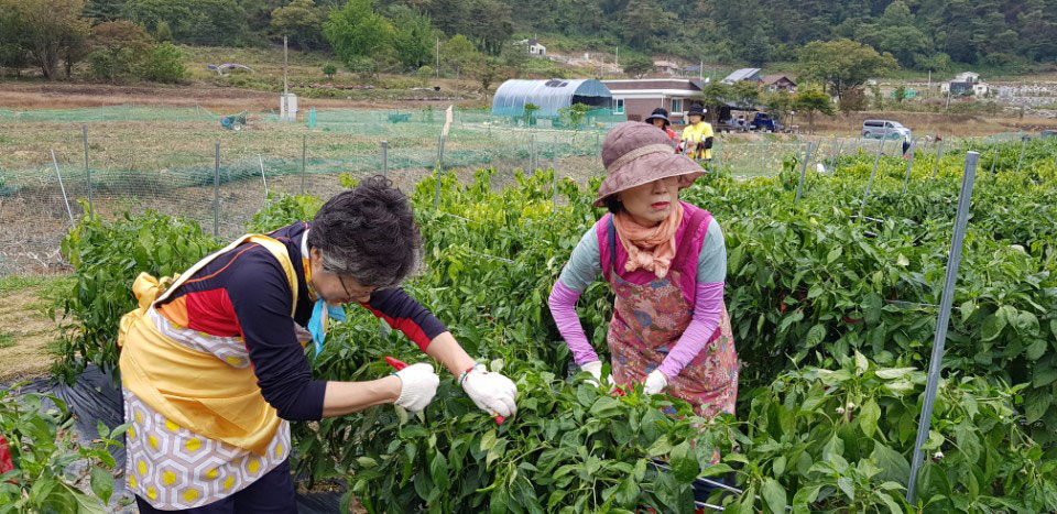 ��õ �ұ����� ������ ���߼�Ȯ(2017. 10.16)