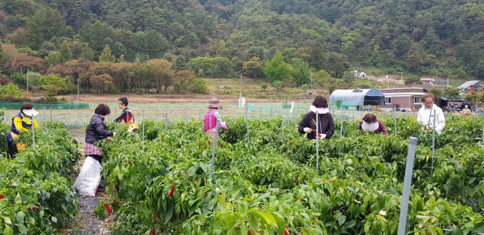 ��õ �ұ����� ������ ���߼�Ȯ(2017. 10.16)