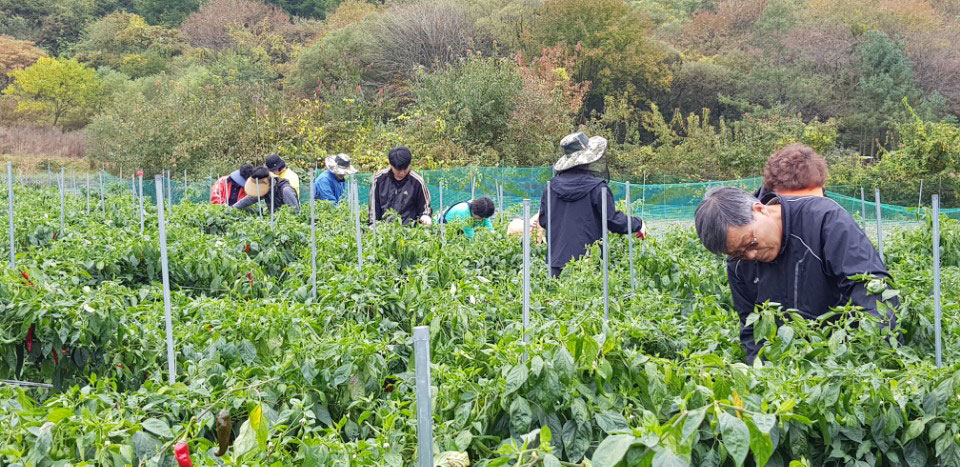 ��õ �ұ����� ������ ���߼�Ȯ(2017. 10.16)